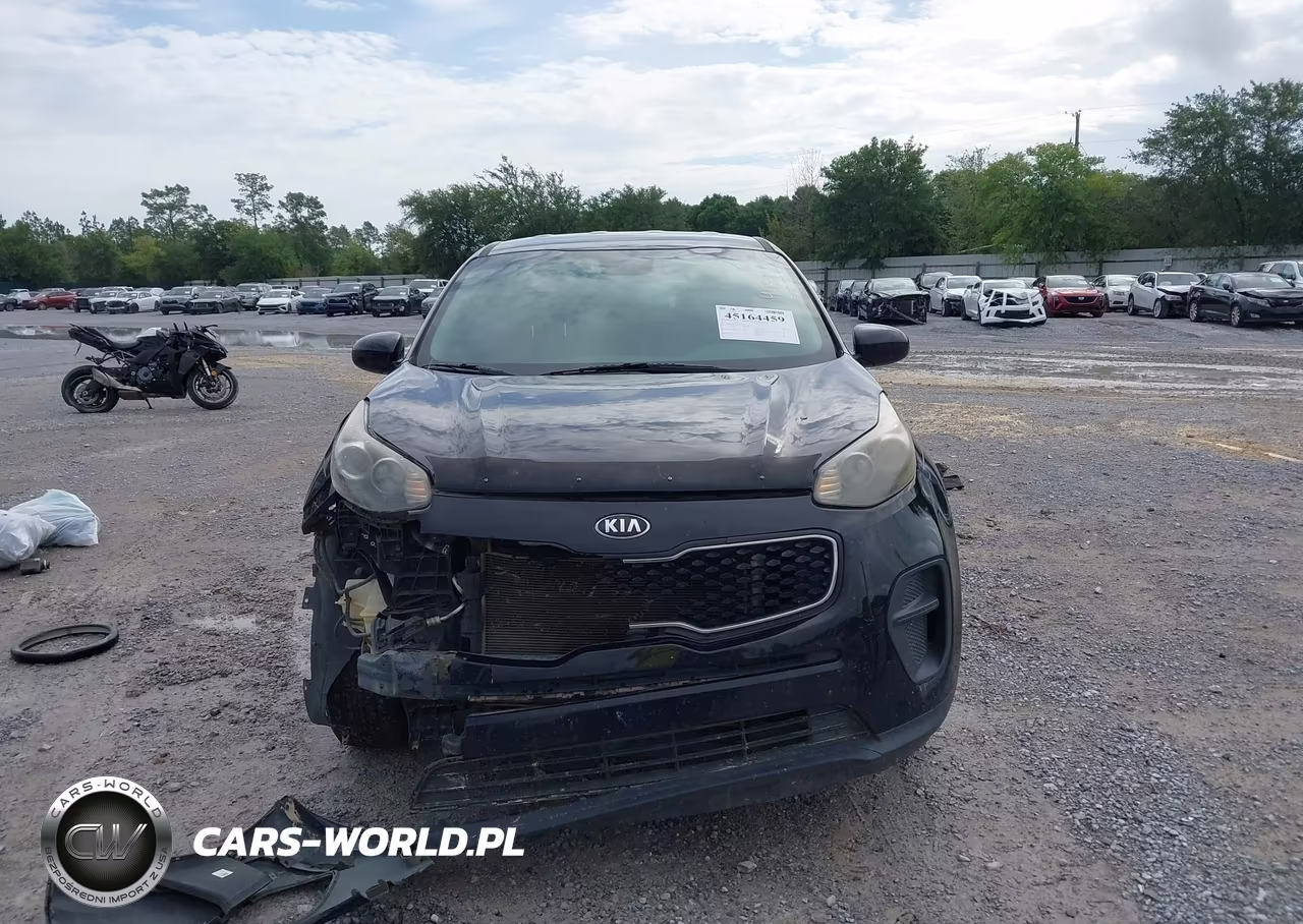 2017 Kia Sportage Lx VIN:KNDPM3AC8H7075058 - 12