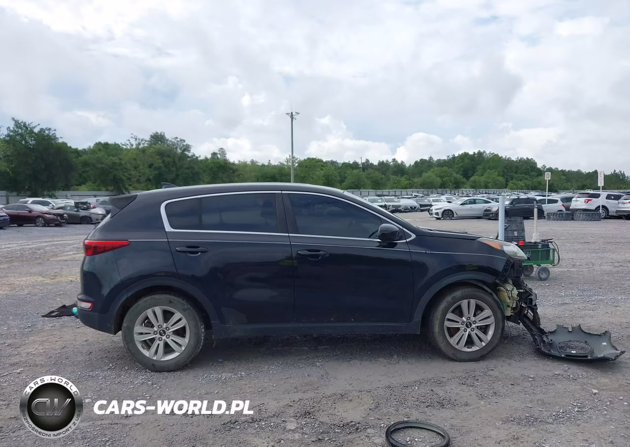 2017 Kia Sportage Lx VIN:KNDPM3AC8H7075058 - 13