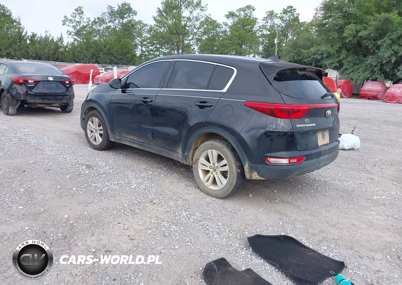 2017 Kia Sportage Lx VIN:KNDPM3AC8H7075058 - 3