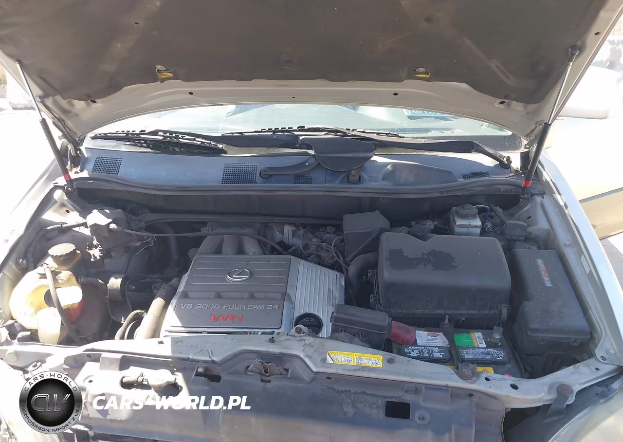 2000 Lexus Rx 300 VIN:JT6HF10U4Y0104097 - 10