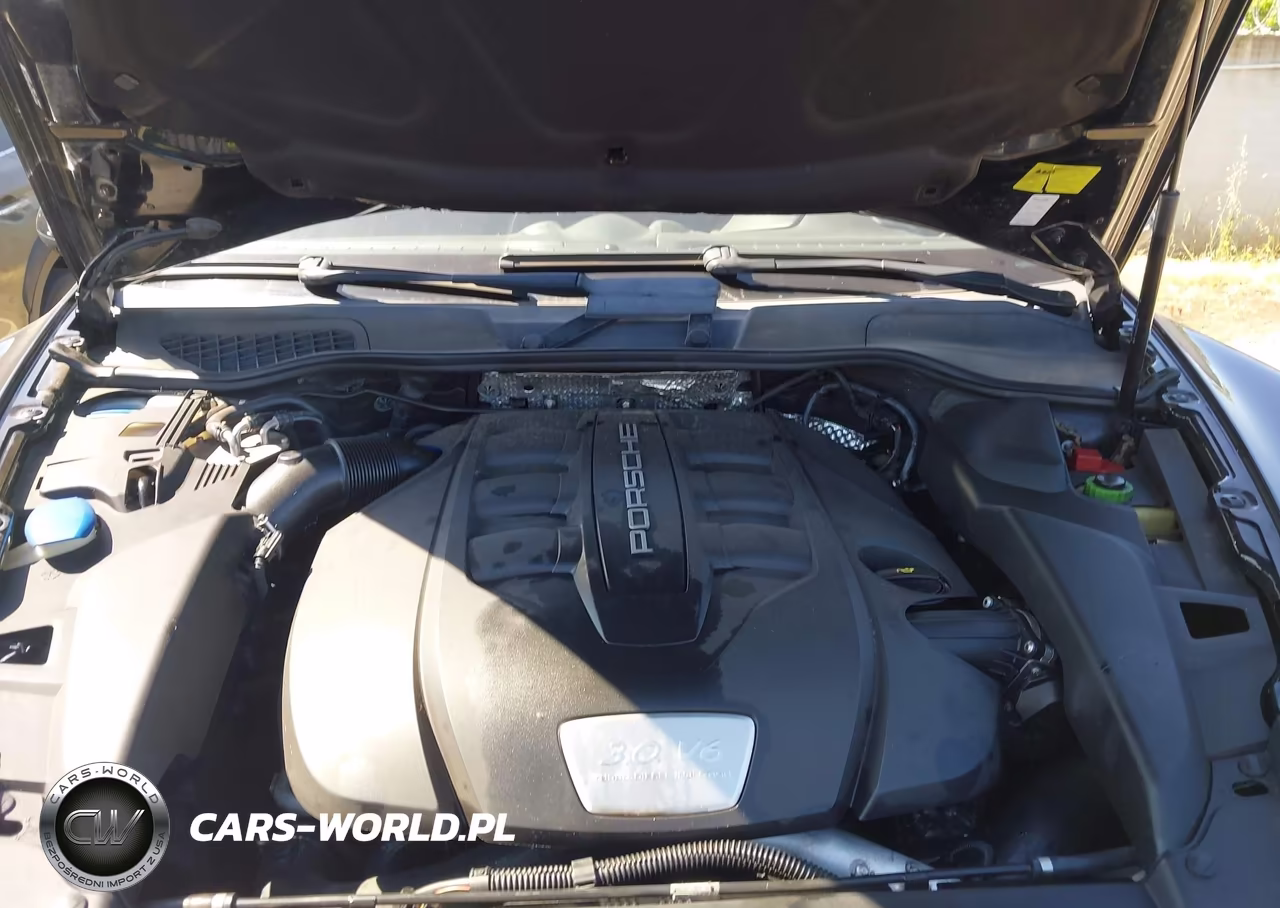 2014 Porsche Cayenne Diesel VIN:WP1AF2A22ELA39515 - 10