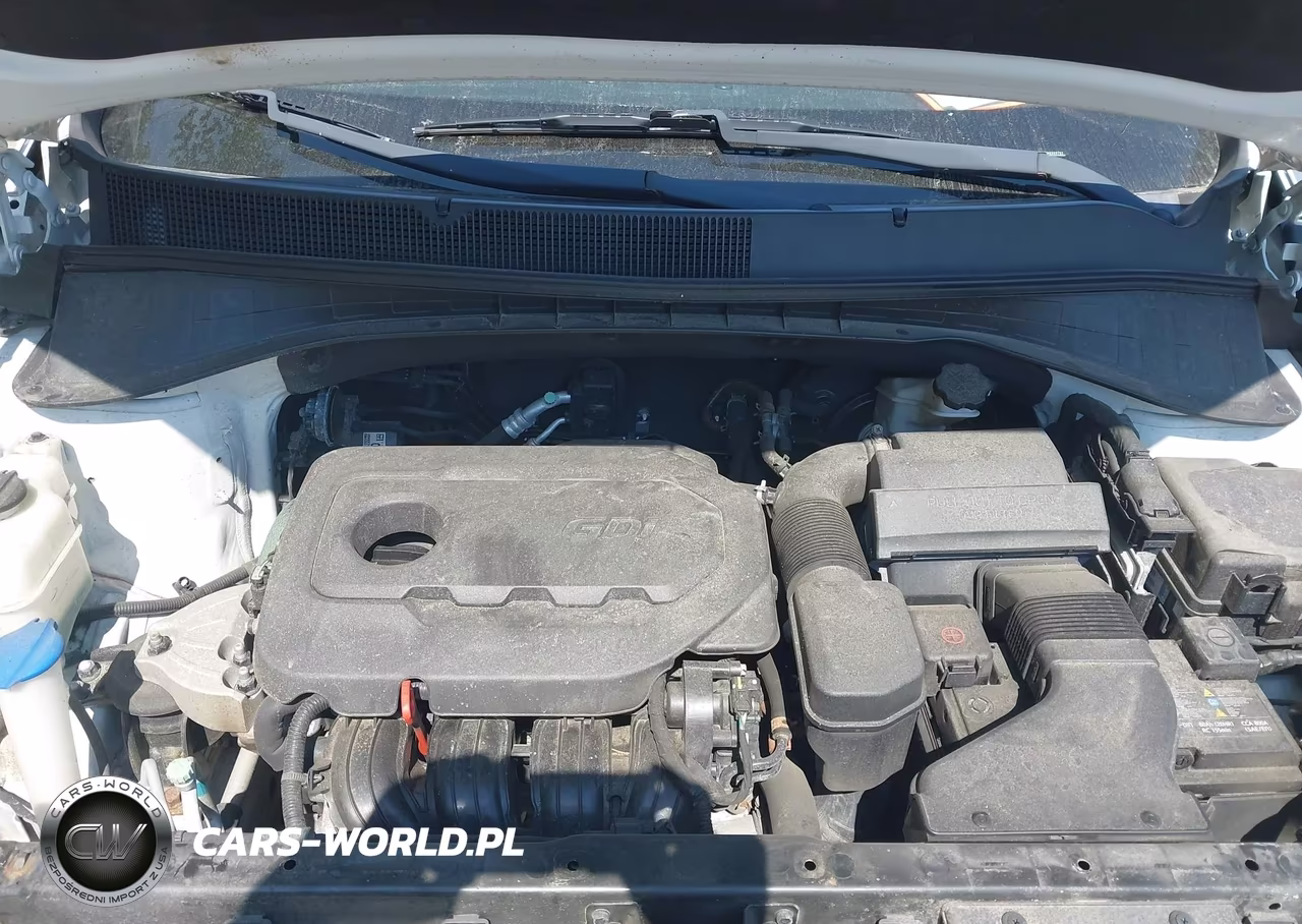 2017 Kia Sorento 2.4L Lx VIN:5XYPGDA32HG303782 - 10