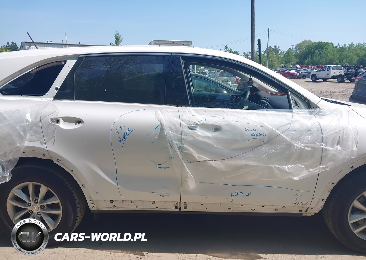2017 Kia Sorento 2.4L Lx VIN:5XYPGDA32HG303782 - 14