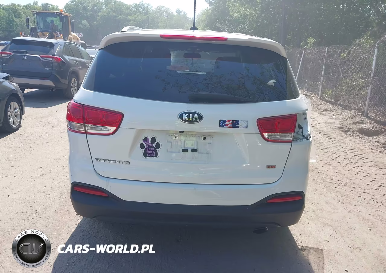 2017 Kia Sorento 2.4L Lx VIN:5XYPGDA32HG303782 - 17