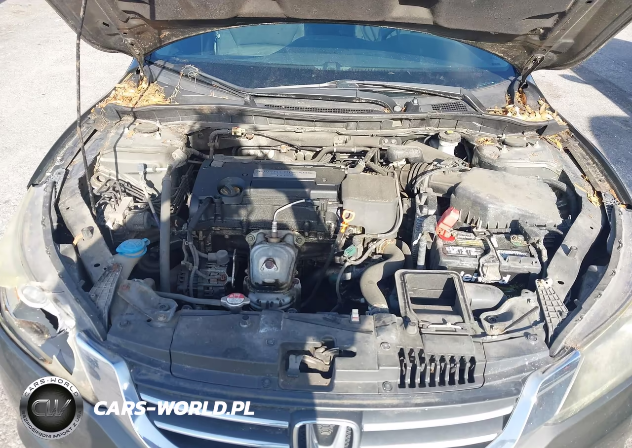 2014 Honda Accord Lx VIN:1HGCR2F33EA229212 - 10