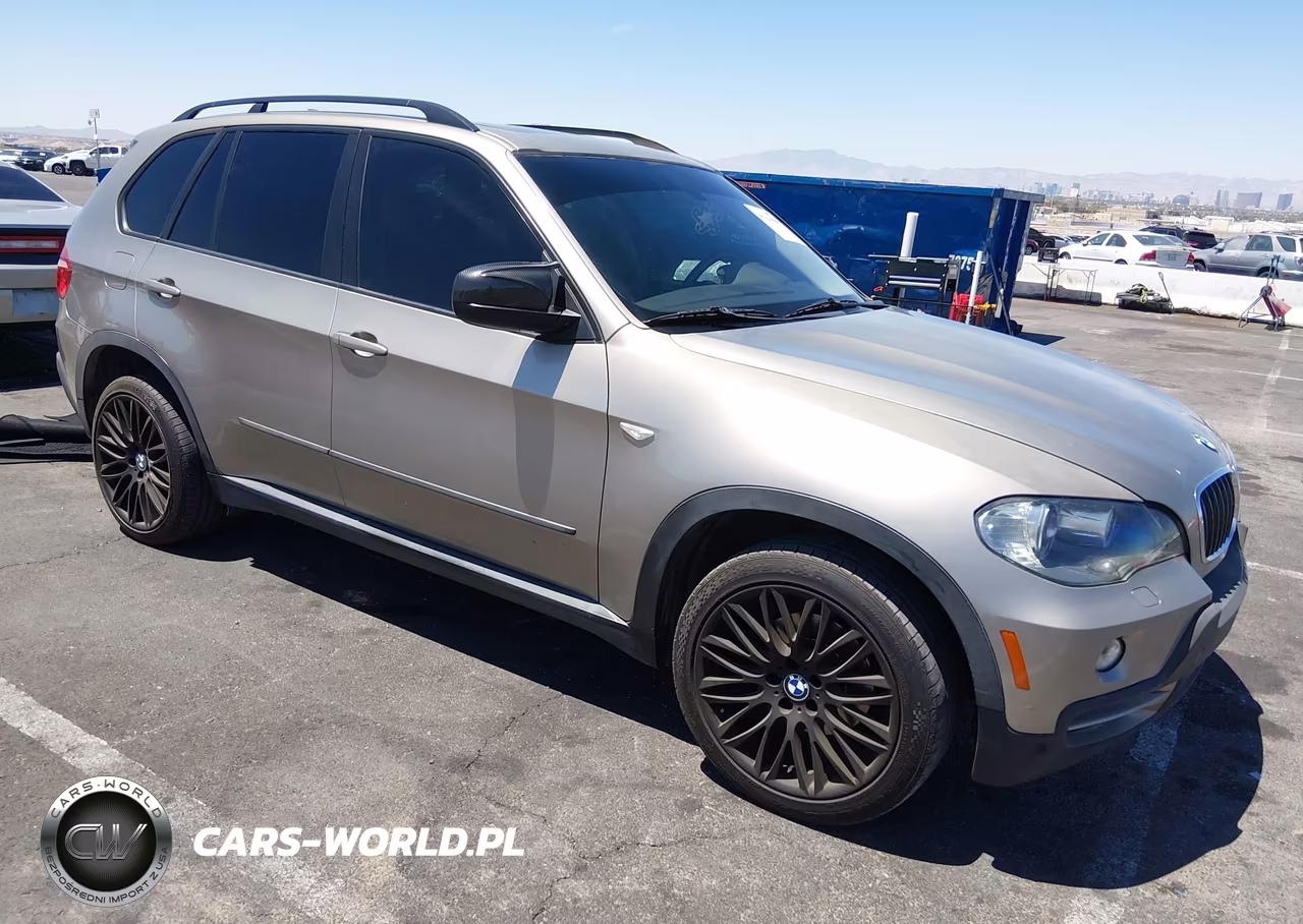 2010 BMW X5 xDrive30I