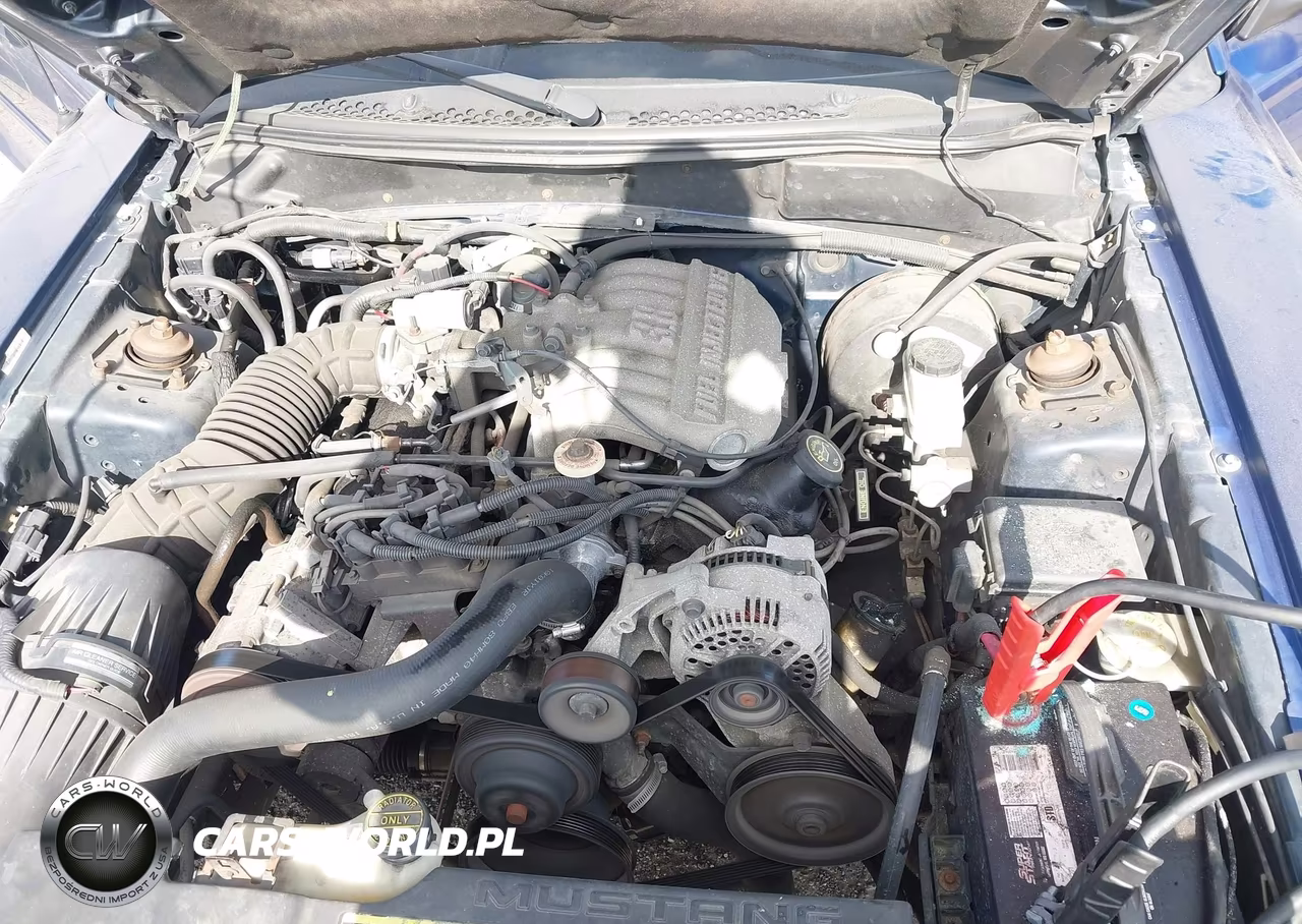 1996 Ford Mustang VIN:1FALP4041TF212500 - 10