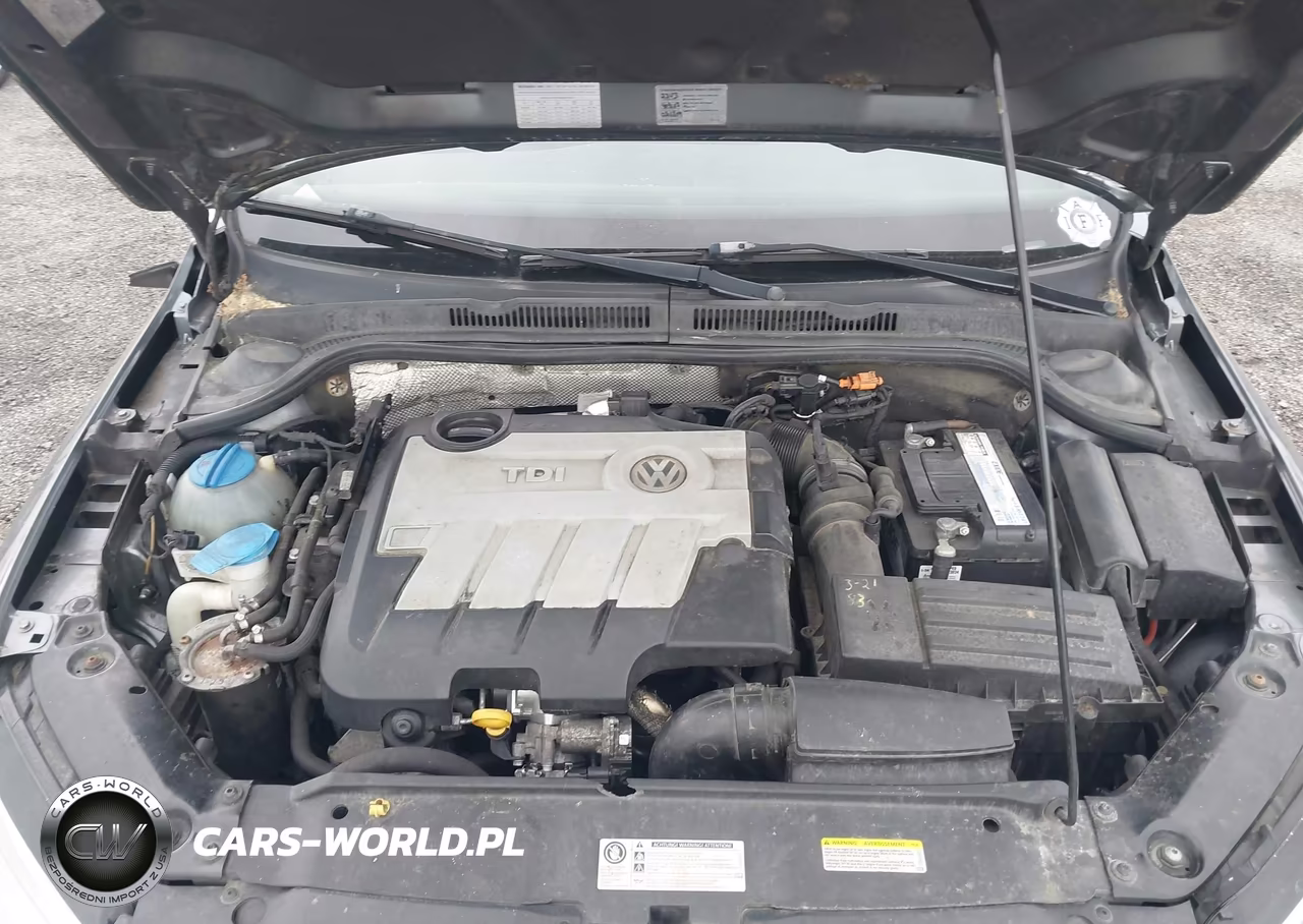 2014 Volkswagen Jetta 2.0L Tdi VIN:3VWLL7AJ7EM310751 - 10
