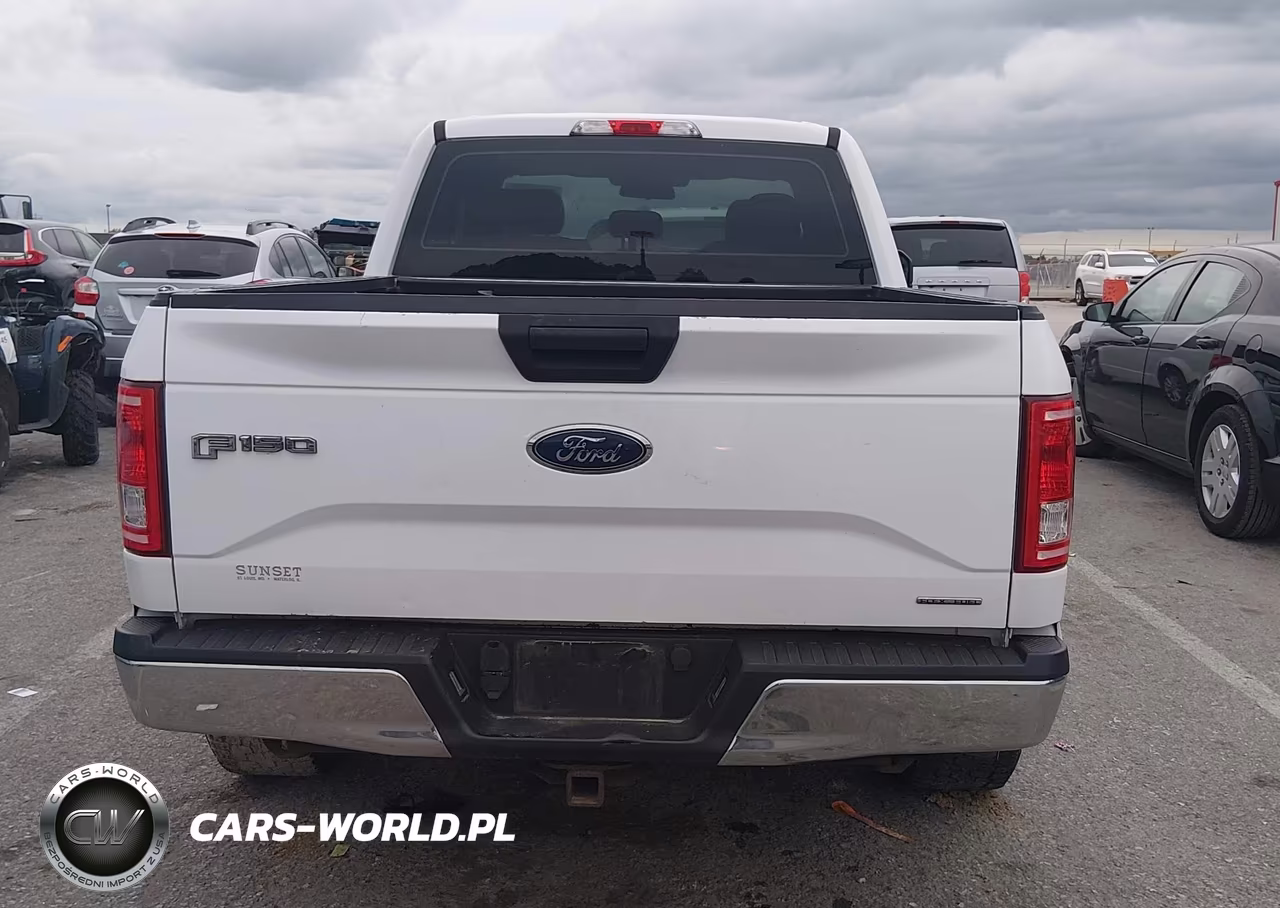 2015 Ford F-150 Xl VIN:1FTEX1C84FKF22104 - 16