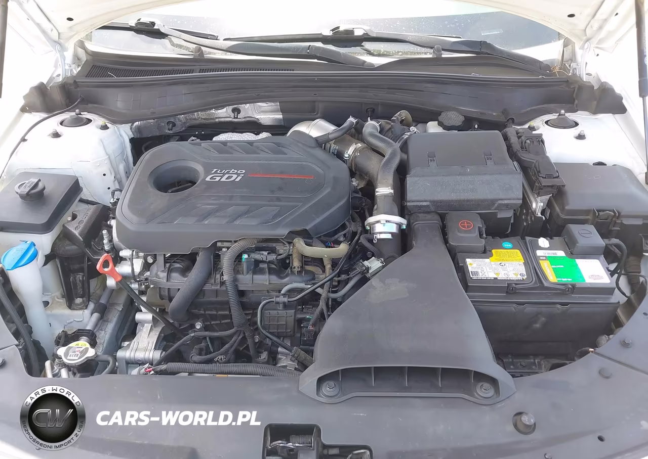2020 Kia Optima Sx Turbo VIN:5XXGW4L28LG408816 - 10