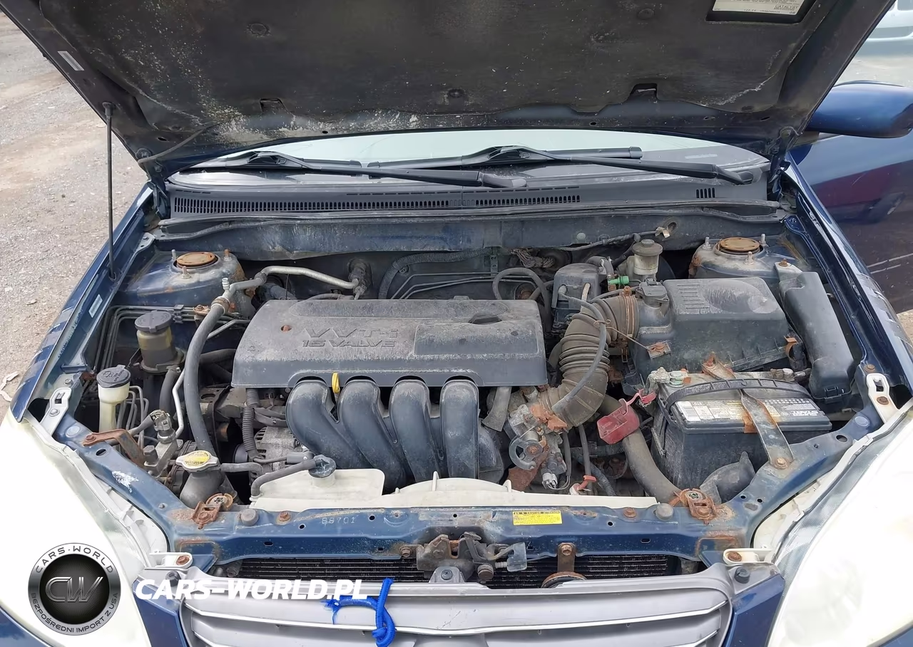 2004 Toyota Corolla Le VIN:1NXBR32E64Z310494 - 10