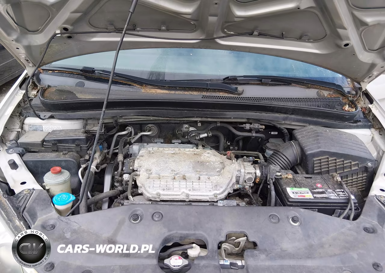 2005 Honda Odyssey Ex-L VIN:5FNRL38725B043782 - 10