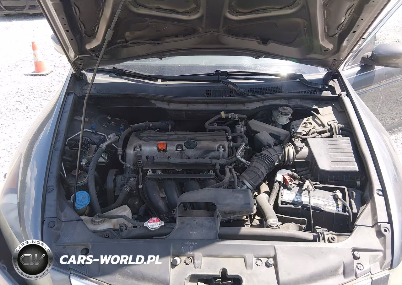 2010 Honda Accord 2.4 Lx-P VIN:1HGCP2F48AA162888 - 10