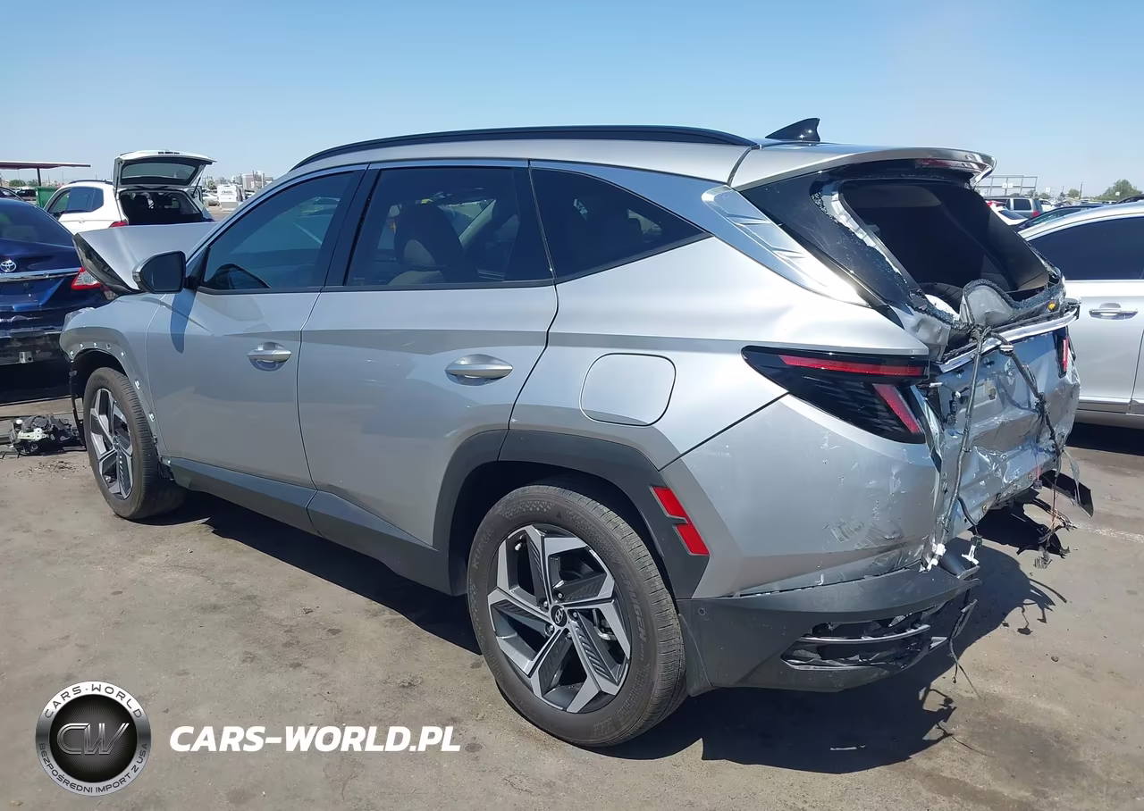 2023 Hyundai Tucson Limited VIN:5NMJE3AE3PH171885 - 3