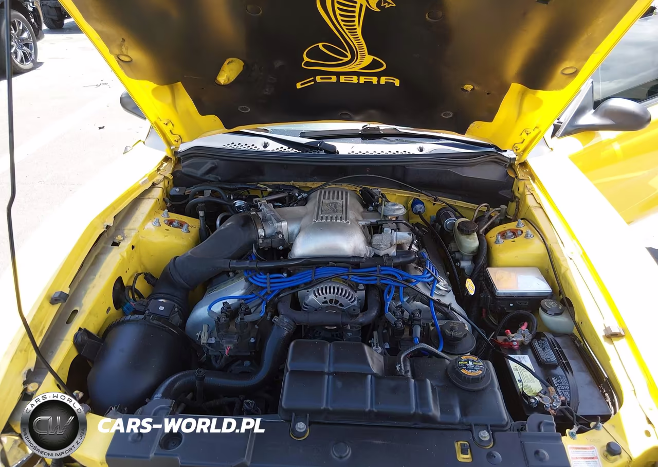 1998 Ford Mustang Svt Cobra VIN:1FAFP46V1WF195084 - 10