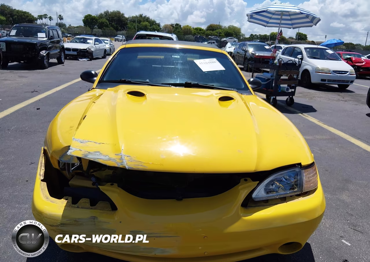 1998 Ford Mustang Svt Cobra VIN:1FAFP46V1WF195084 - 12