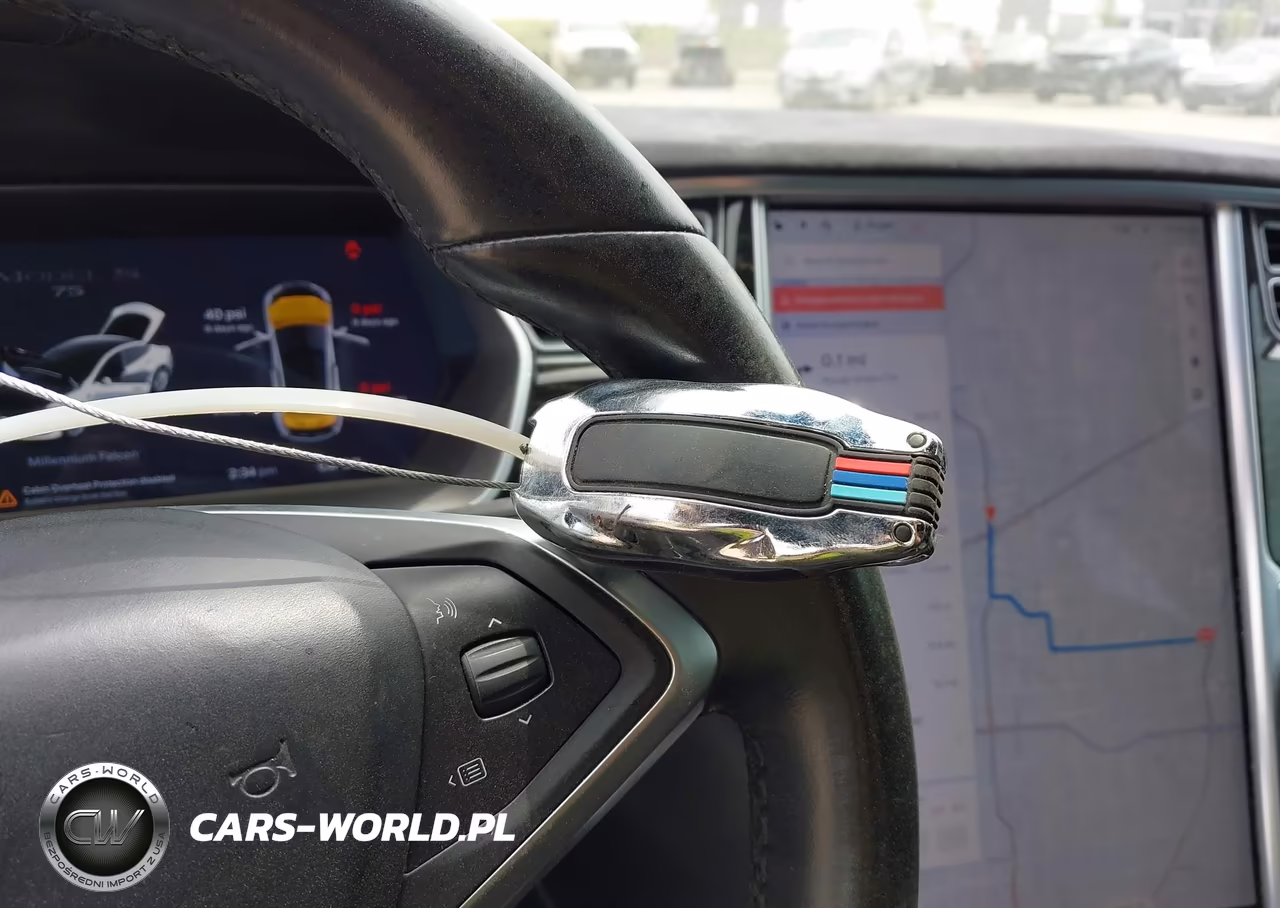 2016 Tesla Model S 60-70-75-85 VIN:5YJSA1E10GF172828 - 11
