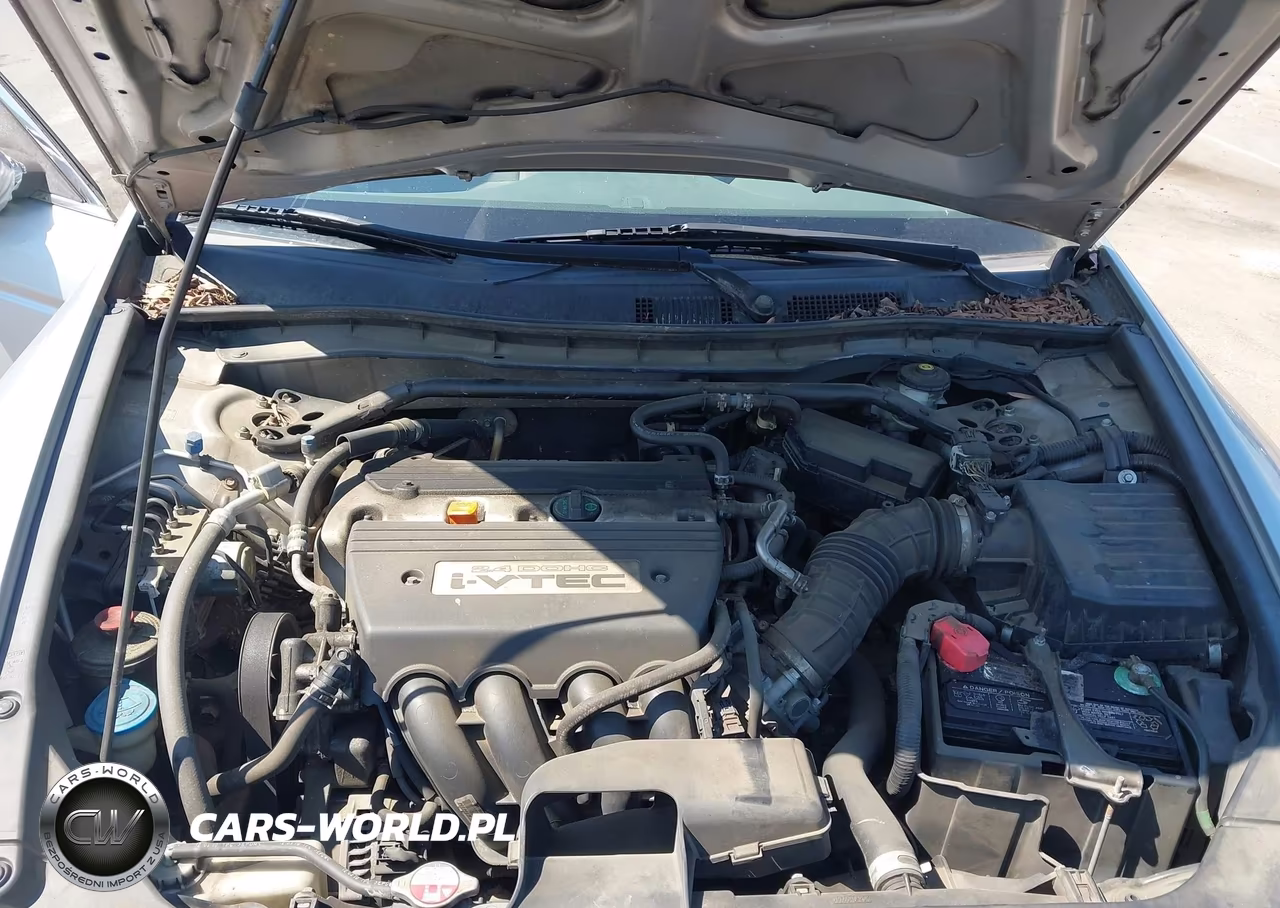 2010 Honda Accord 2.4 Ex VIN:1HGCP2F70AA191943 - 10