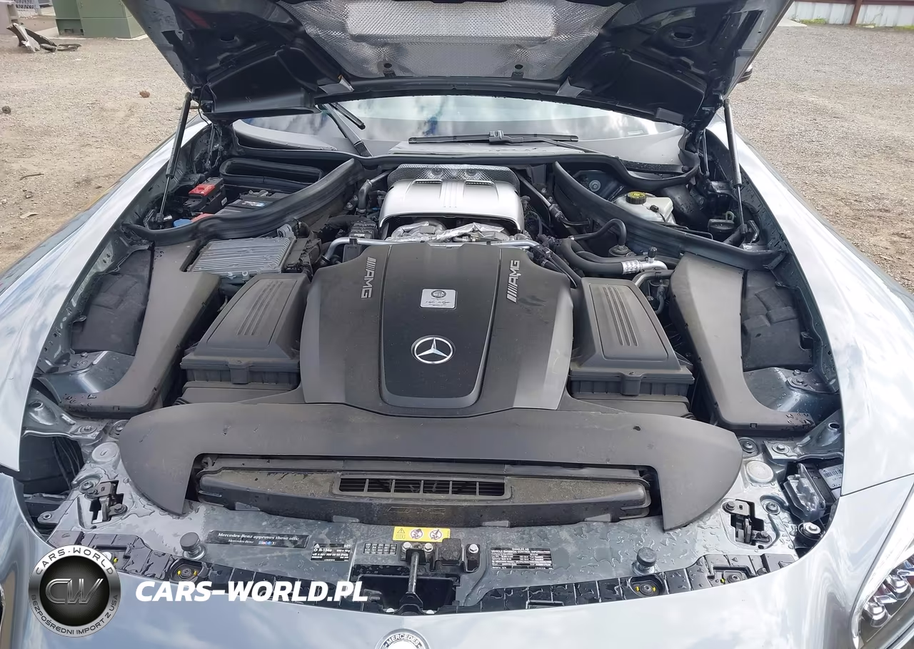 2016 Mercedes-Benz Gt S Amg VIN:WDDYJ7JA4GA002957 - 10
