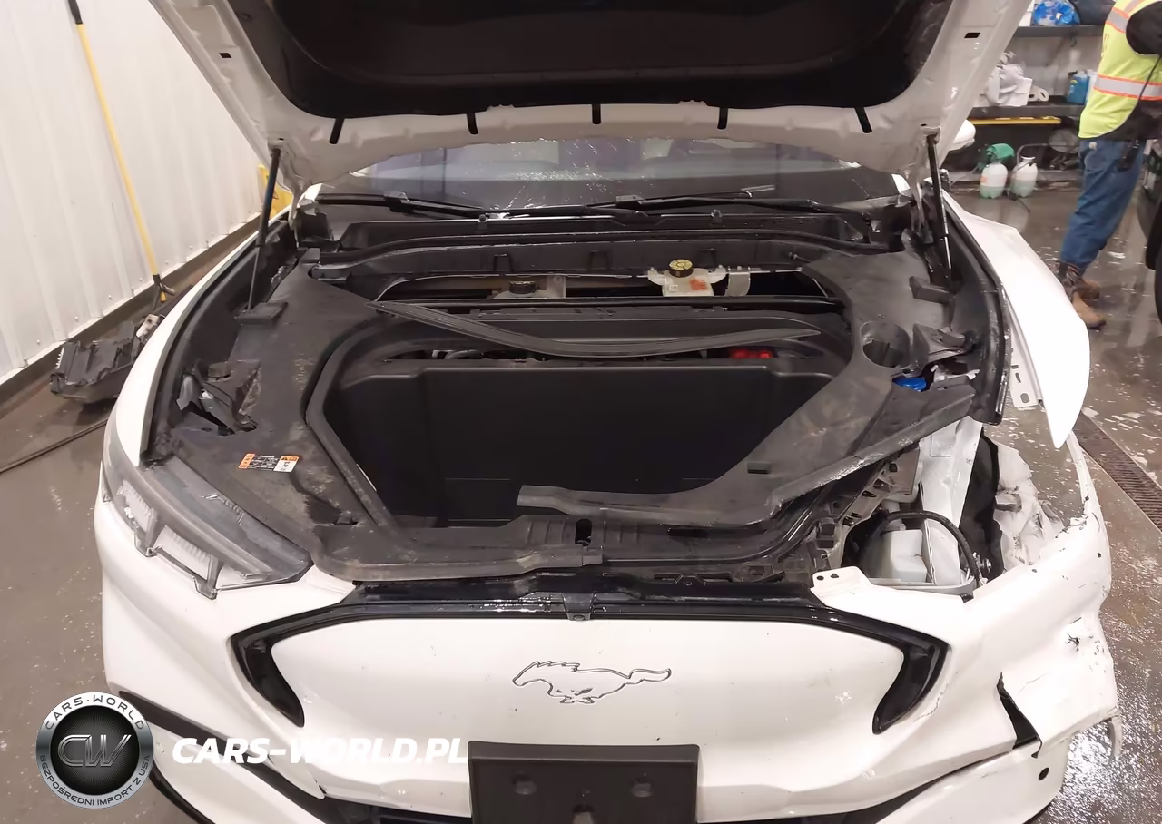 2022 Ford Mustang Mach-E Premium VIN:3FMTK3SS8NMA25400 - 10