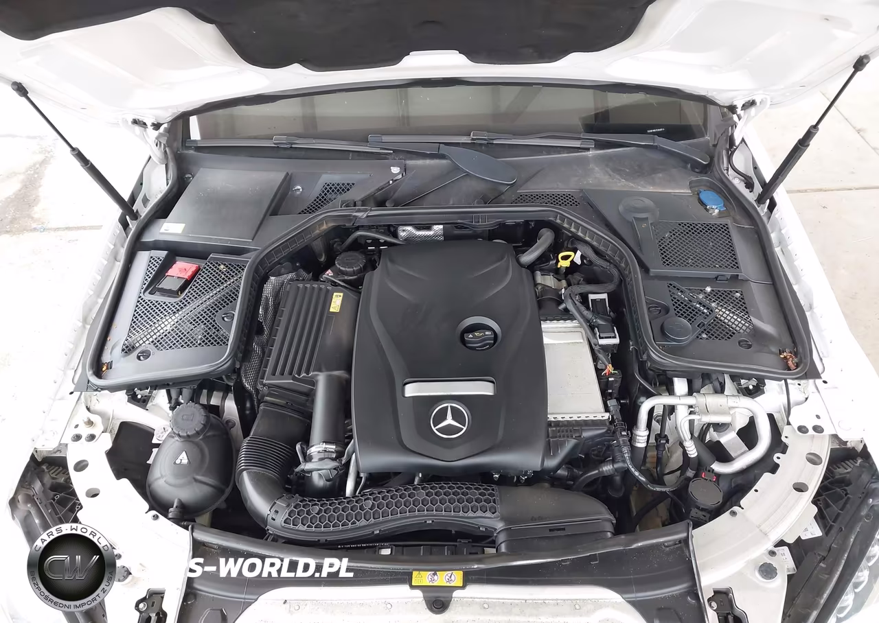2015 Mercedes-Benz C 300 4Matic-Luxury 4Matic-Sport 4Matic VIN:55SWF4KB1FU068914 - 10