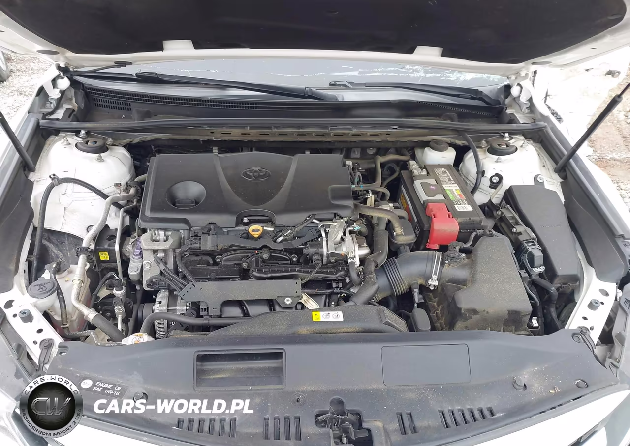 2019 Toyota Camry Le VIN:4T1B11HKXKU184503 - 10