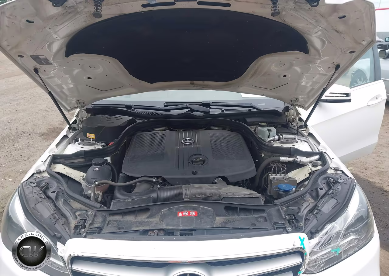 2014 Mercedes-Benz E 250 Bluetec VIN:WDDHF0EB7EA999610 - 10