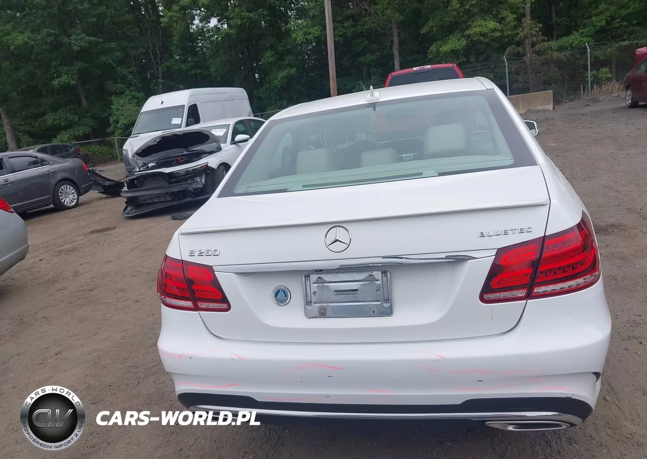 2014 Mercedes-Benz E 250 Bluetec VIN:WDDHF0EB7EA999610 - 16