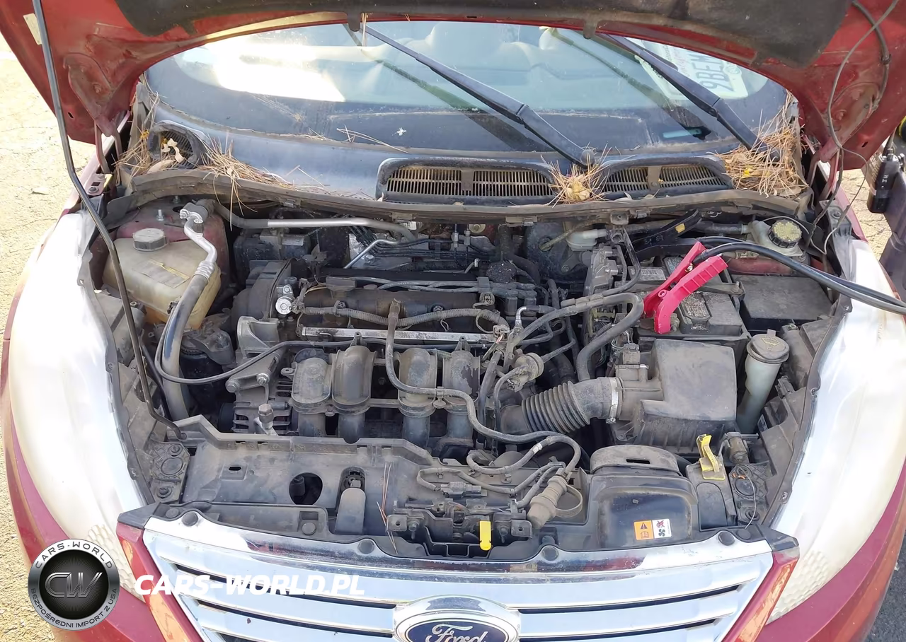 2013 Ford Fiesta Se VIN:3FADP4BJ3DM137131 - 10