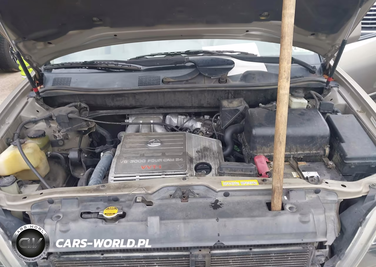 1999 Lexus Rx 300 VIN:JT6GF10U2X0042502 - 10