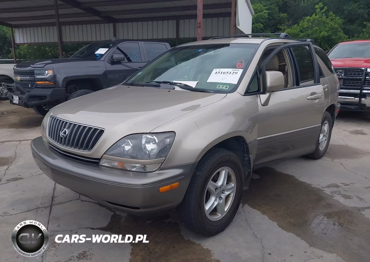 1999 Lexus Rx 300 VIN:JT6GF10U2X0042502 - 2