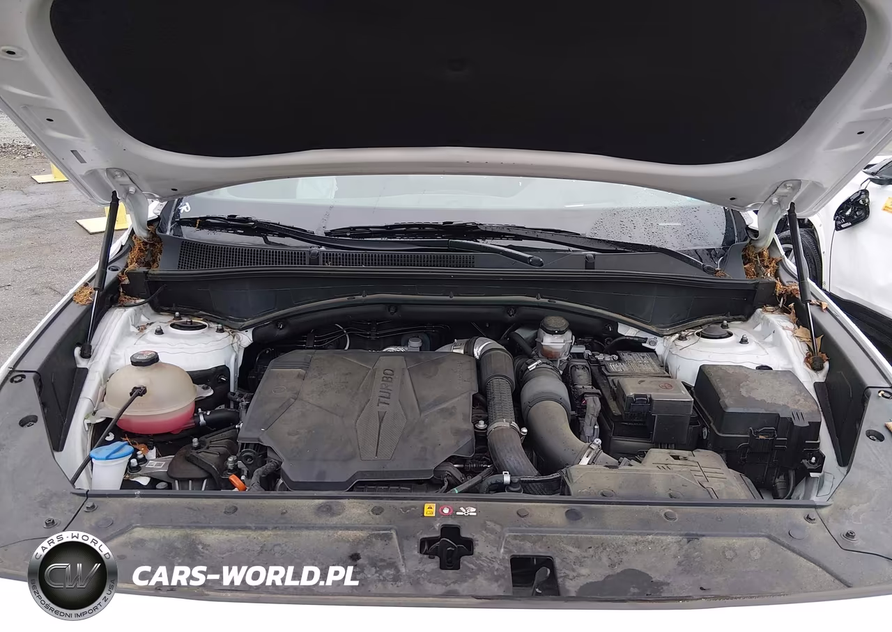 2022 Hyundai Santa Fe Calligraphy VIN:5NMS5DAL1NH403020 - 10