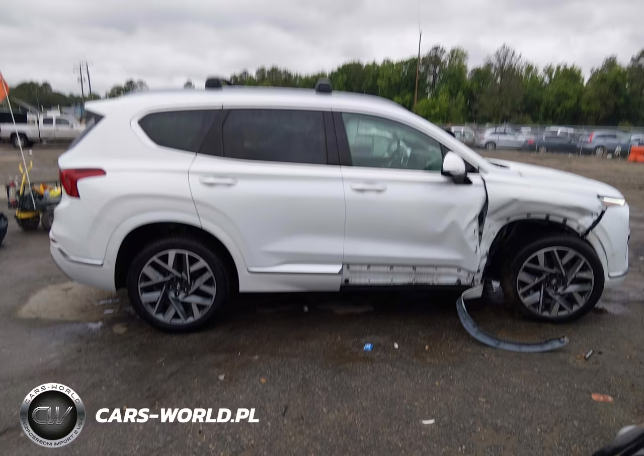2022 Hyundai Santa Fe Calligraphy VIN:5NMS5DAL1NH403020 - 13