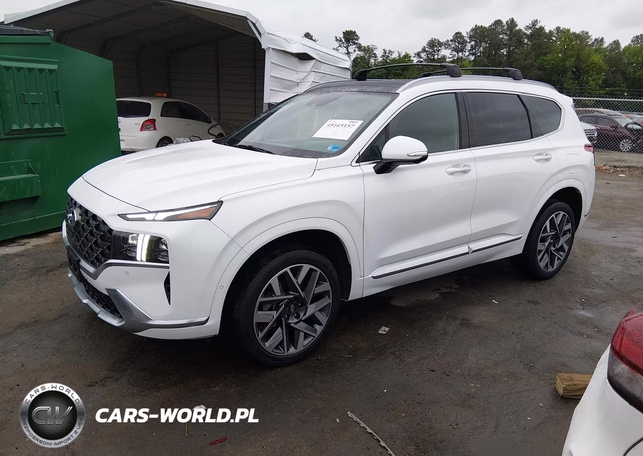 2022 Hyundai Santa Fe Calligraphy VIN:5NMS5DAL1NH403020 - 2