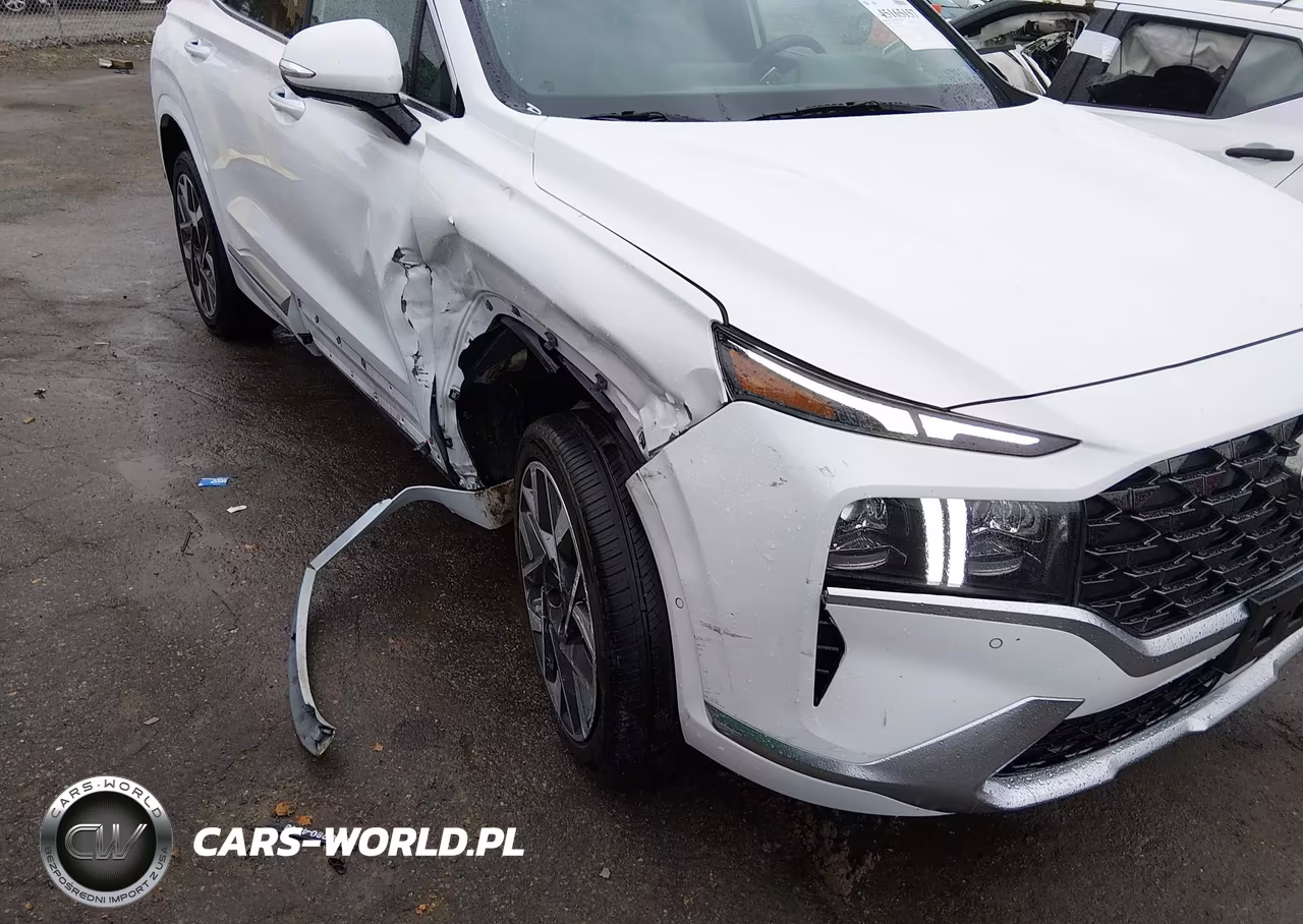 2022 Hyundai Santa Fe Calligraphy VIN:5NMS5DAL1NH403020 - 6