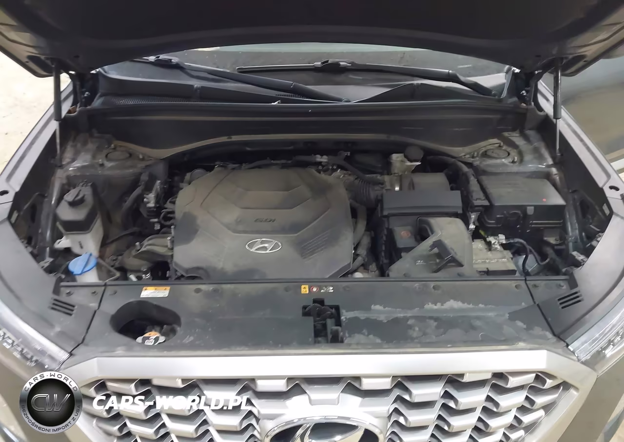 2021 Hyundai Palisade Sel VIN:KM8R4DHEXMU306118 - 10