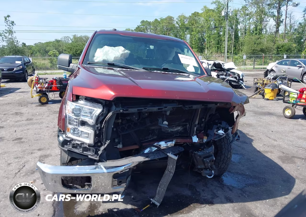 2016 Ford F-150 Xlt VIN:1FTEW1EF5GFC78679 - 12