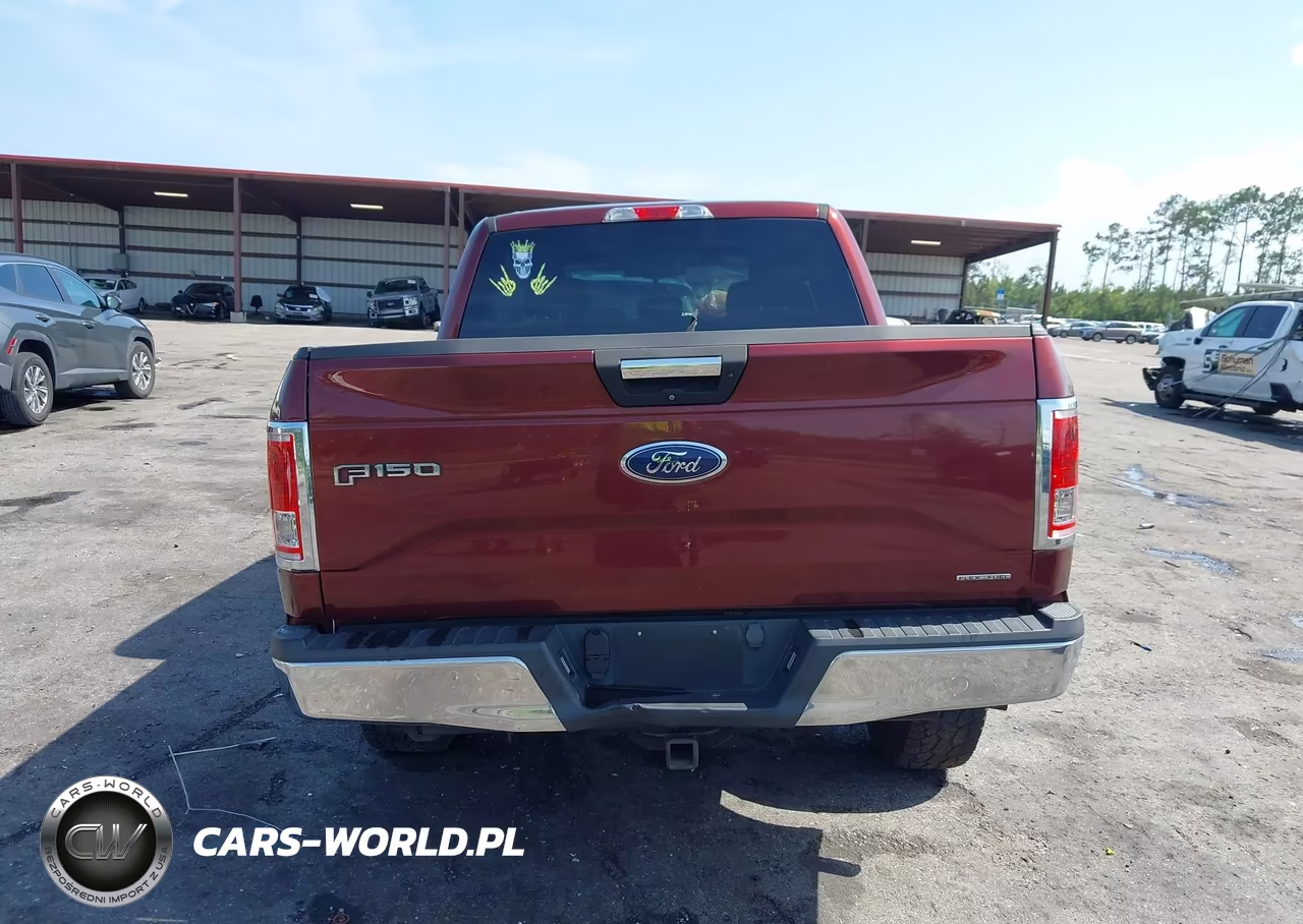 2016 Ford F-150 Xlt VIN:1FTEW1EF5GFC78679 - 16