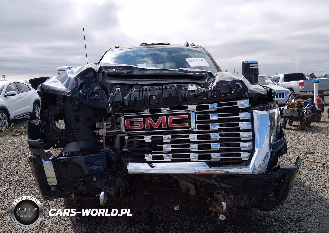 2025 GMC Sierra 3500Hd 4Wd Standard Bed Denali VIN:1GT4UWEY9SF205002 - 13