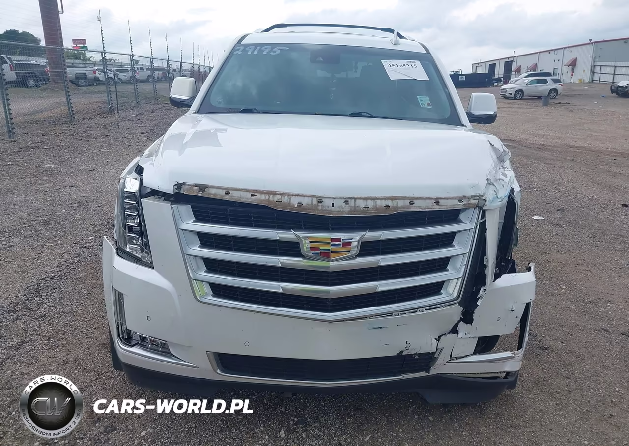 2016 Cadillac Escalade Premium Collection VIN:1GYS4CKJXGR306739 - 13
