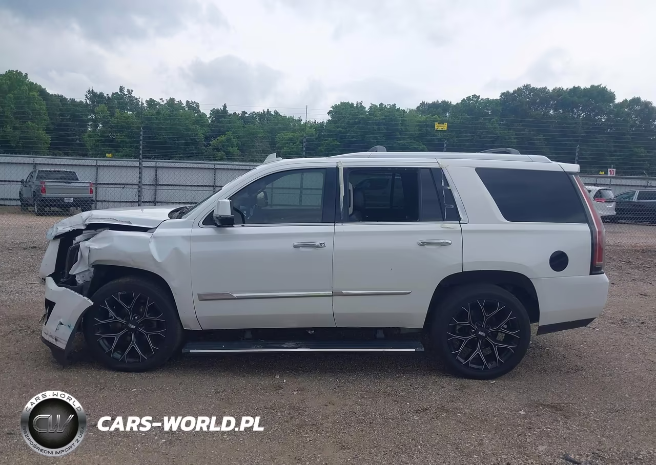 2016 Cadillac Escalade Premium Collection VIN:1GYS4CKJXGR306739 - 15