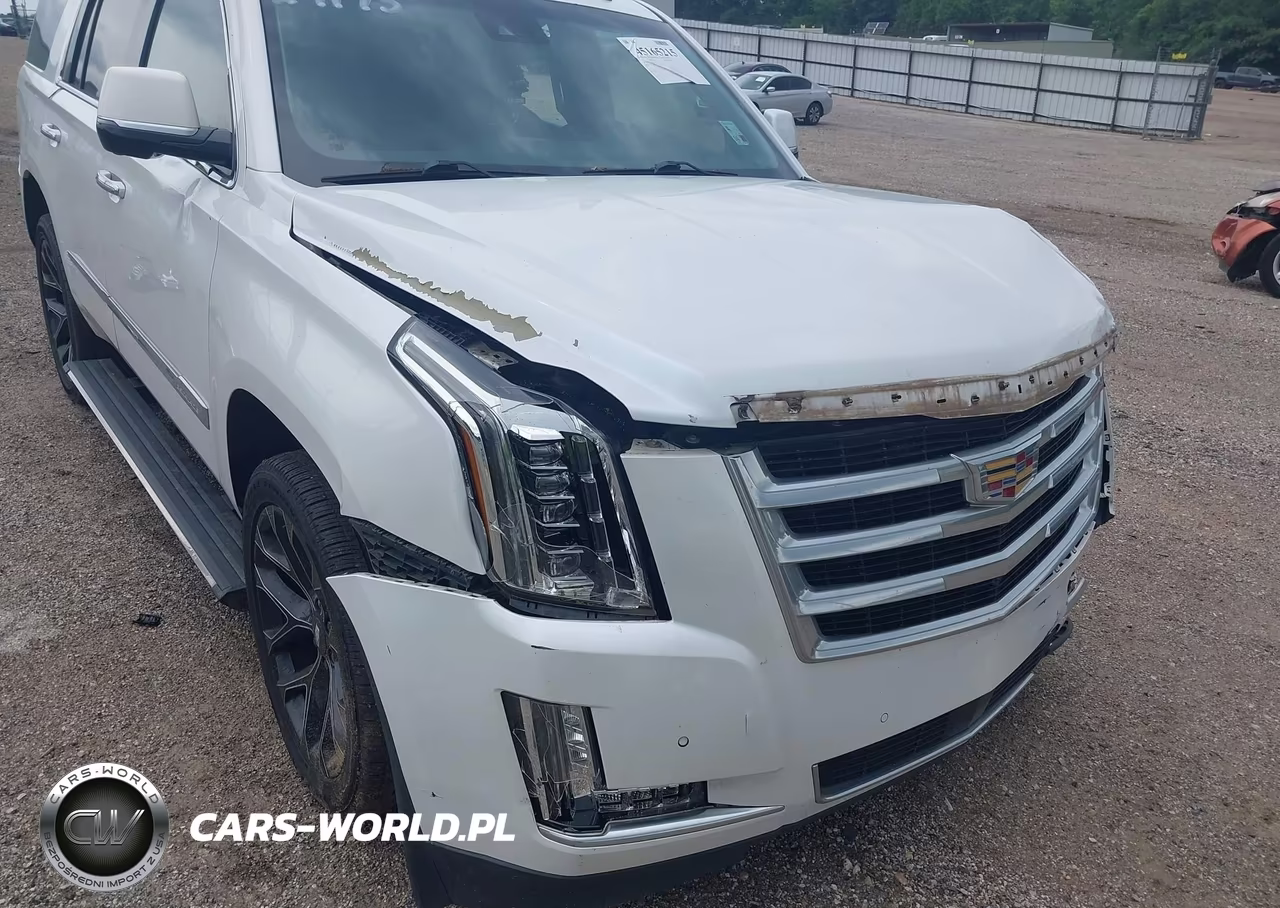 2016 Cadillac Escalade Premium Collection VIN:1GYS4CKJXGR306739 - 18