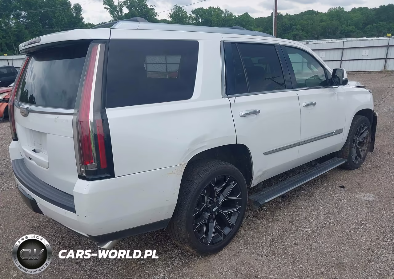 2016 Cadillac Escalade Premium Collection VIN:1GYS4CKJXGR306739 - 4