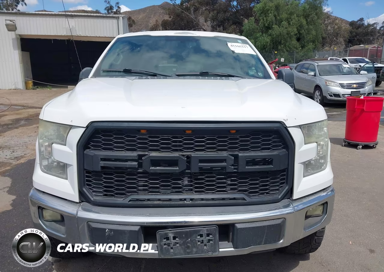 2015 Ford F-150 Xlt VIN:1FTEW1CPXFKD59808 - 12