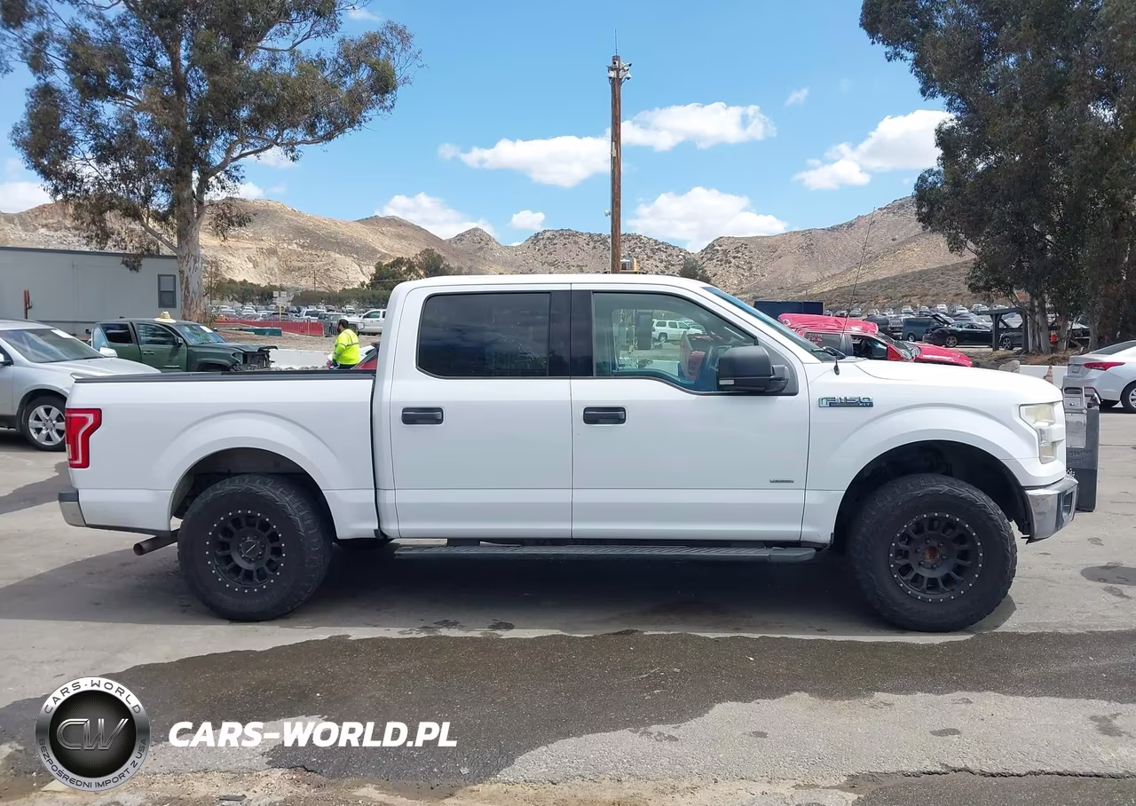2015 Ford F-150 Xlt VIN:1FTEW1CPXFKD59808 - 13