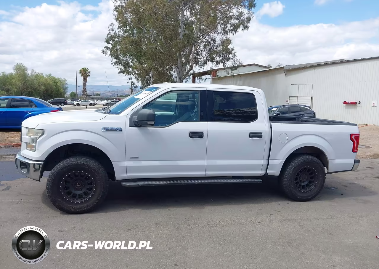 2015 Ford F-150 Xlt VIN:1FTEW1CPXFKD59808 - 14