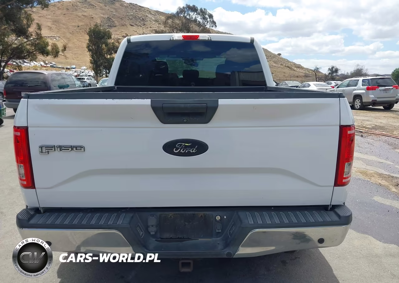 2015 Ford F-150 Xlt VIN:1FTEW1CPXFKD59808 - 16