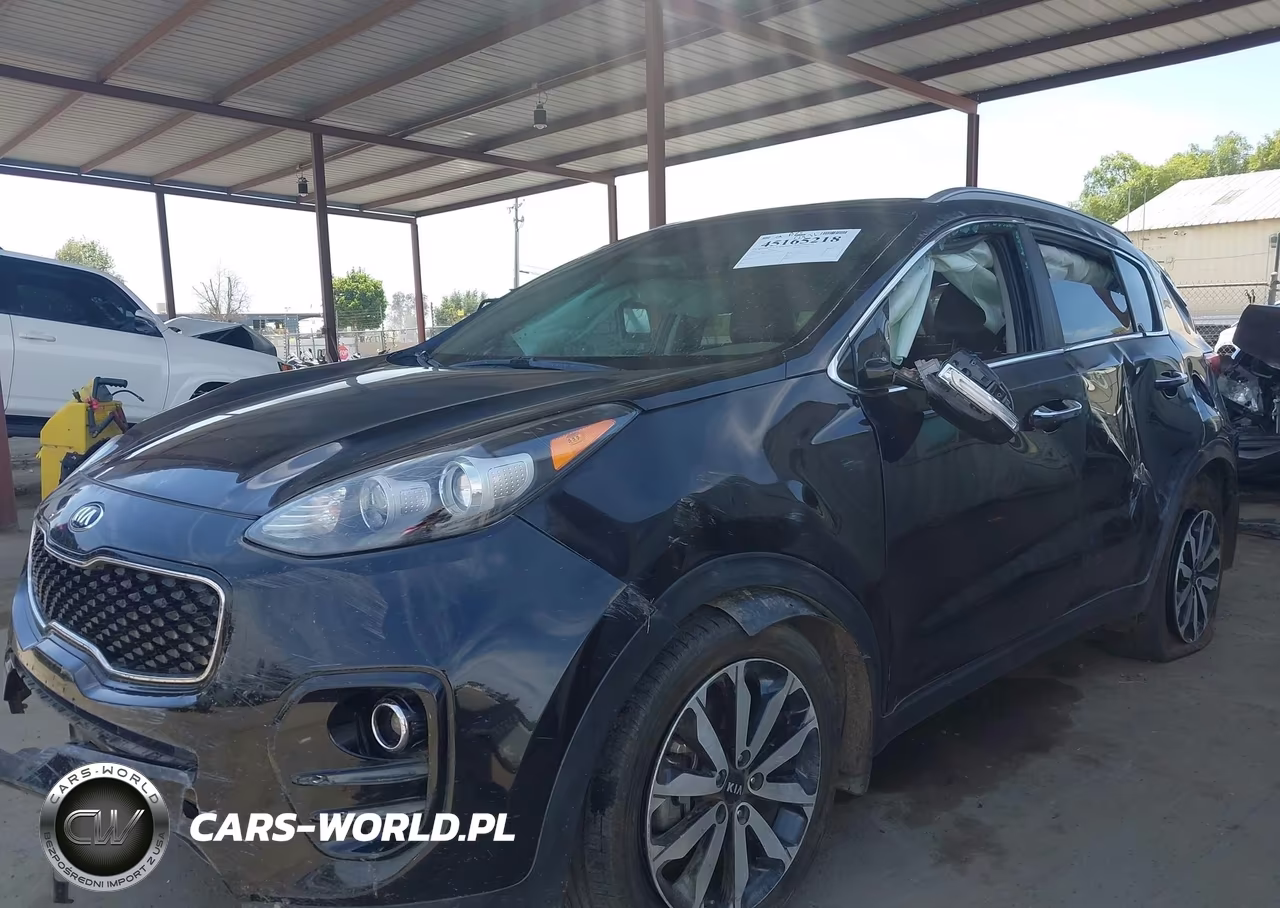 2017 Kia Sportage Ex VIN:KNDPN3AC8H7099079 - 15