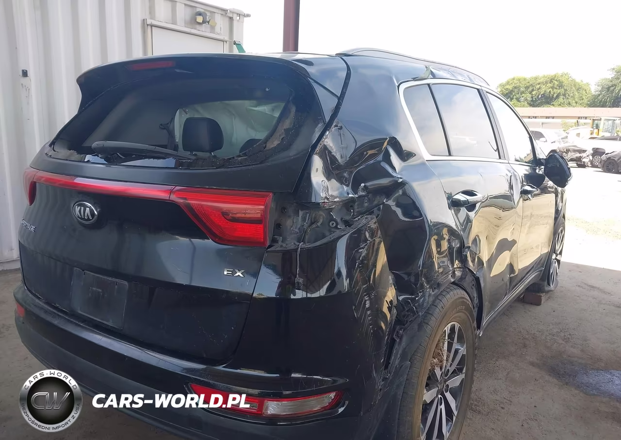 2017 Kia Sportage Ex VIN:KNDPN3AC8H7099079 - 4