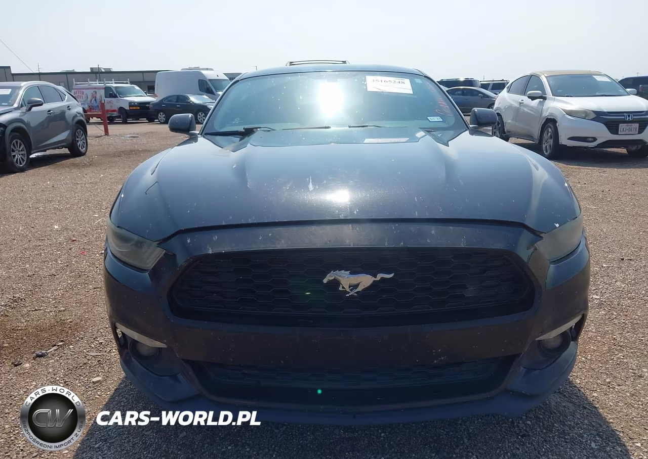 2015 Ford Mustang Ecoboost VIN:1FA6P8TH8F5433119 - 12